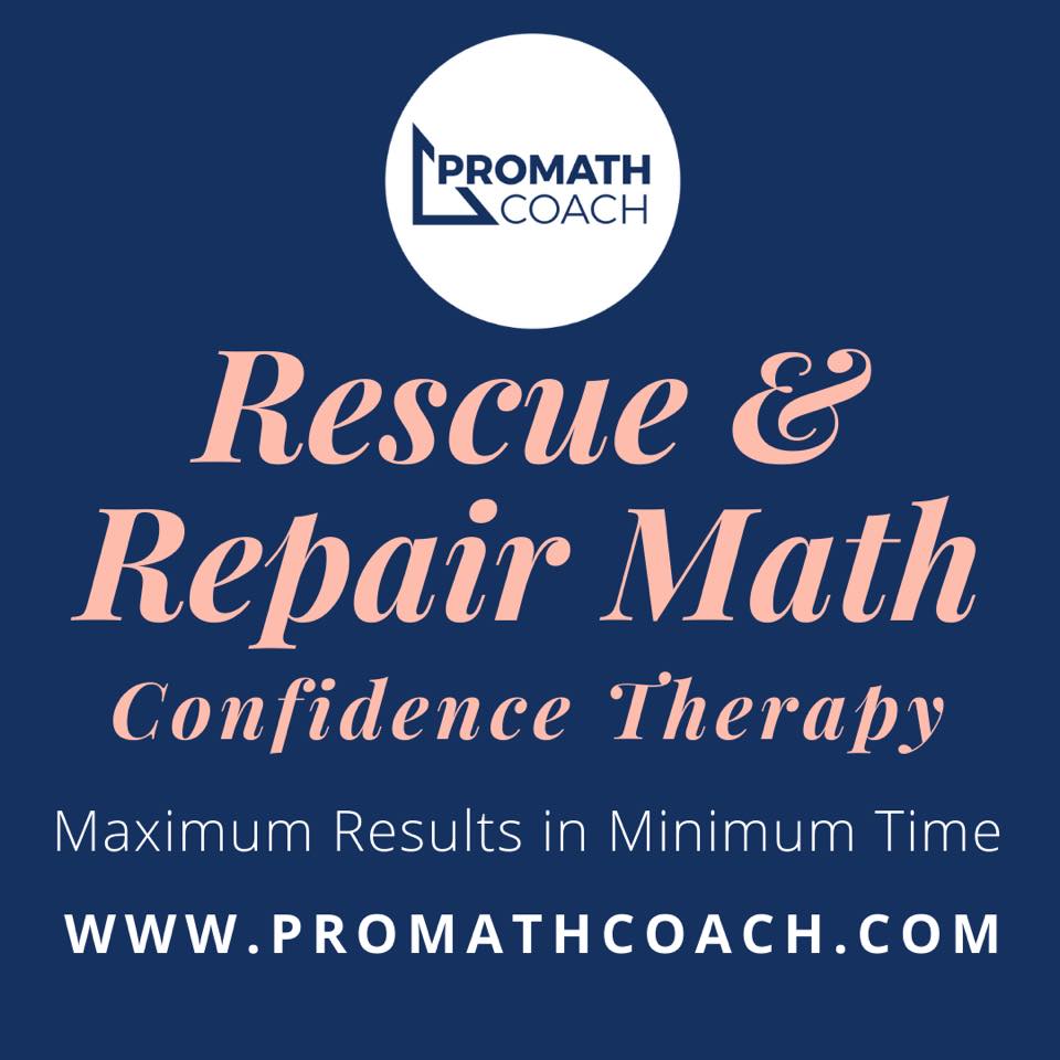 Pro Math Coach - Is your child several years behind for...