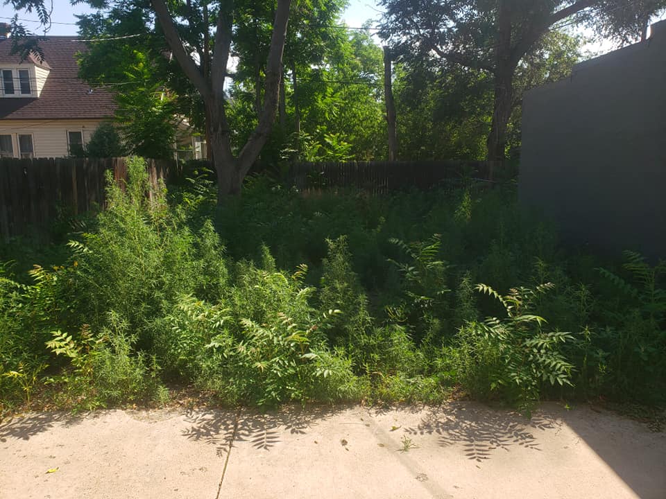 A tear out and new landscape install... - Economy Landscape