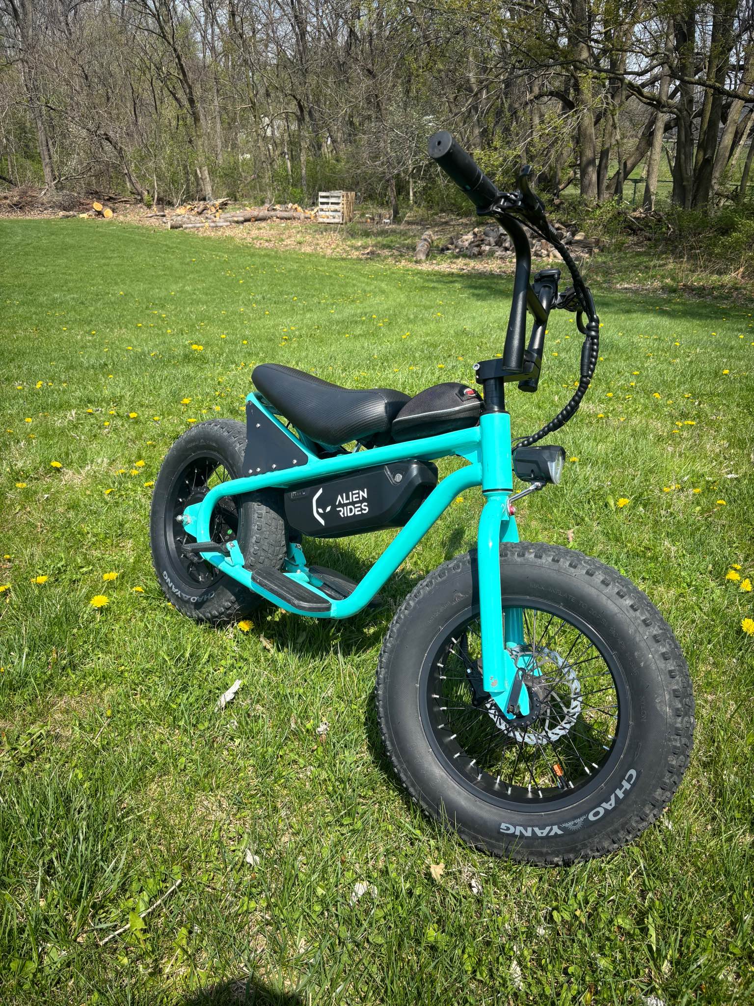 Alien Rides Atom E-Bike - Bicycles - Westfield, Indiana | Facebook ...