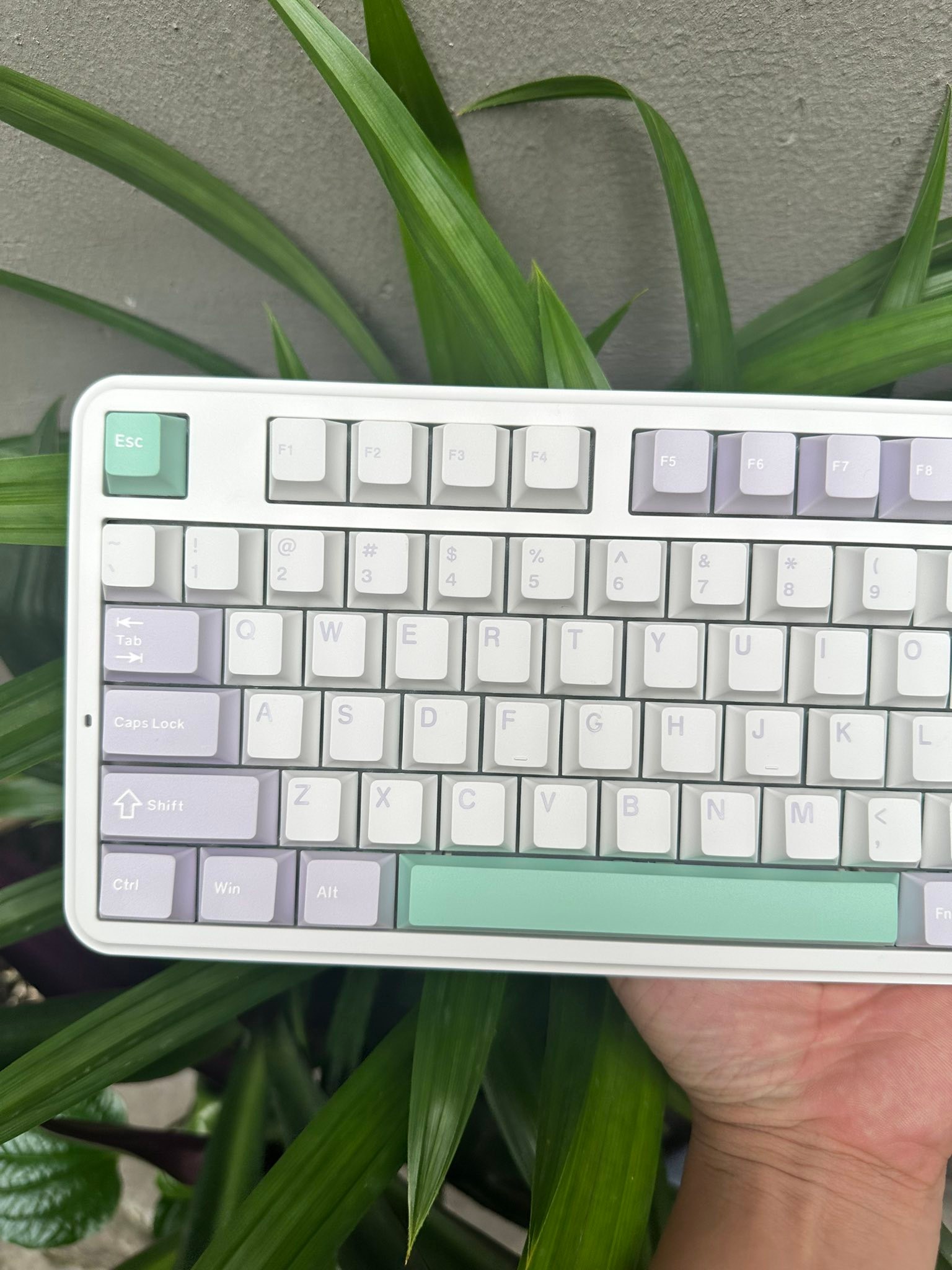 Chợ Bàn Phím Cơ Việt Nam | Có bác nào sử dụng con NewFF JK980 này cho ...