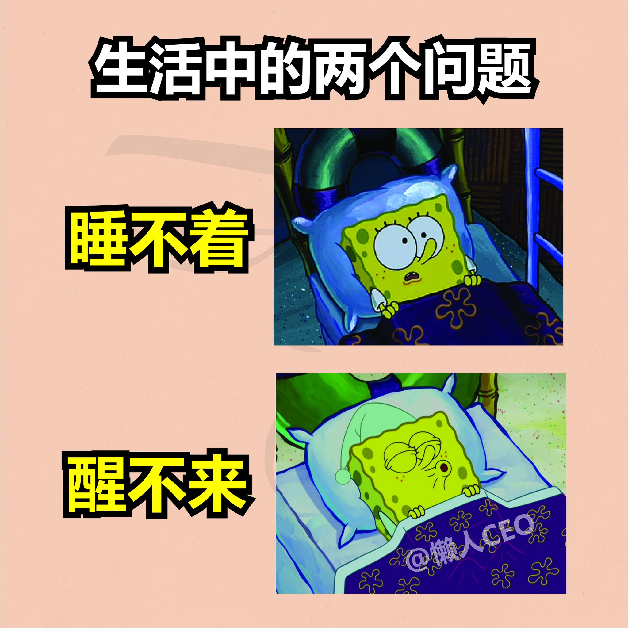 懒人CEO - 这两个问题我每天都在经历😭 #懒人ceo #memes #meme #梗图 #梗图系列 #梗圖...