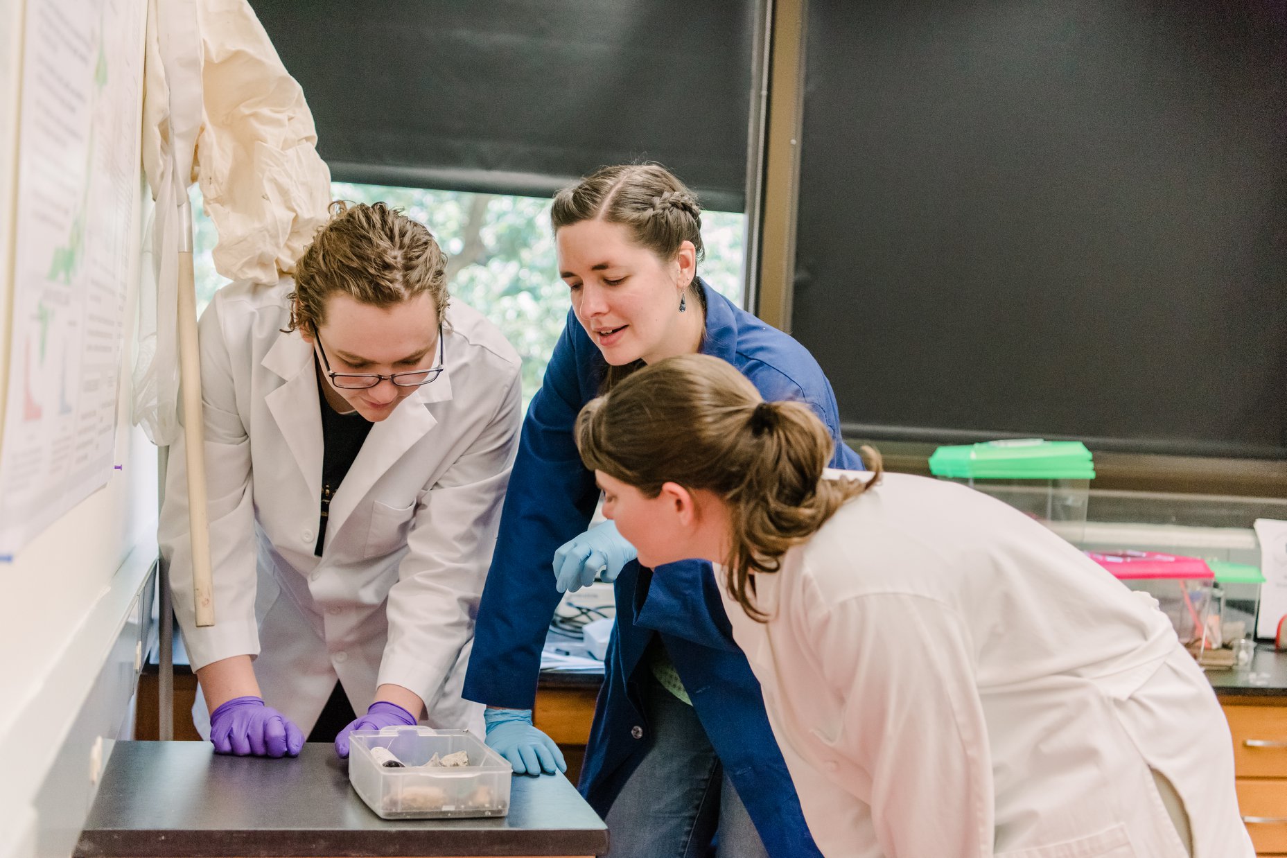 /r/AskScience - We have Dr. Sarah Stellwagen of UMBC and...