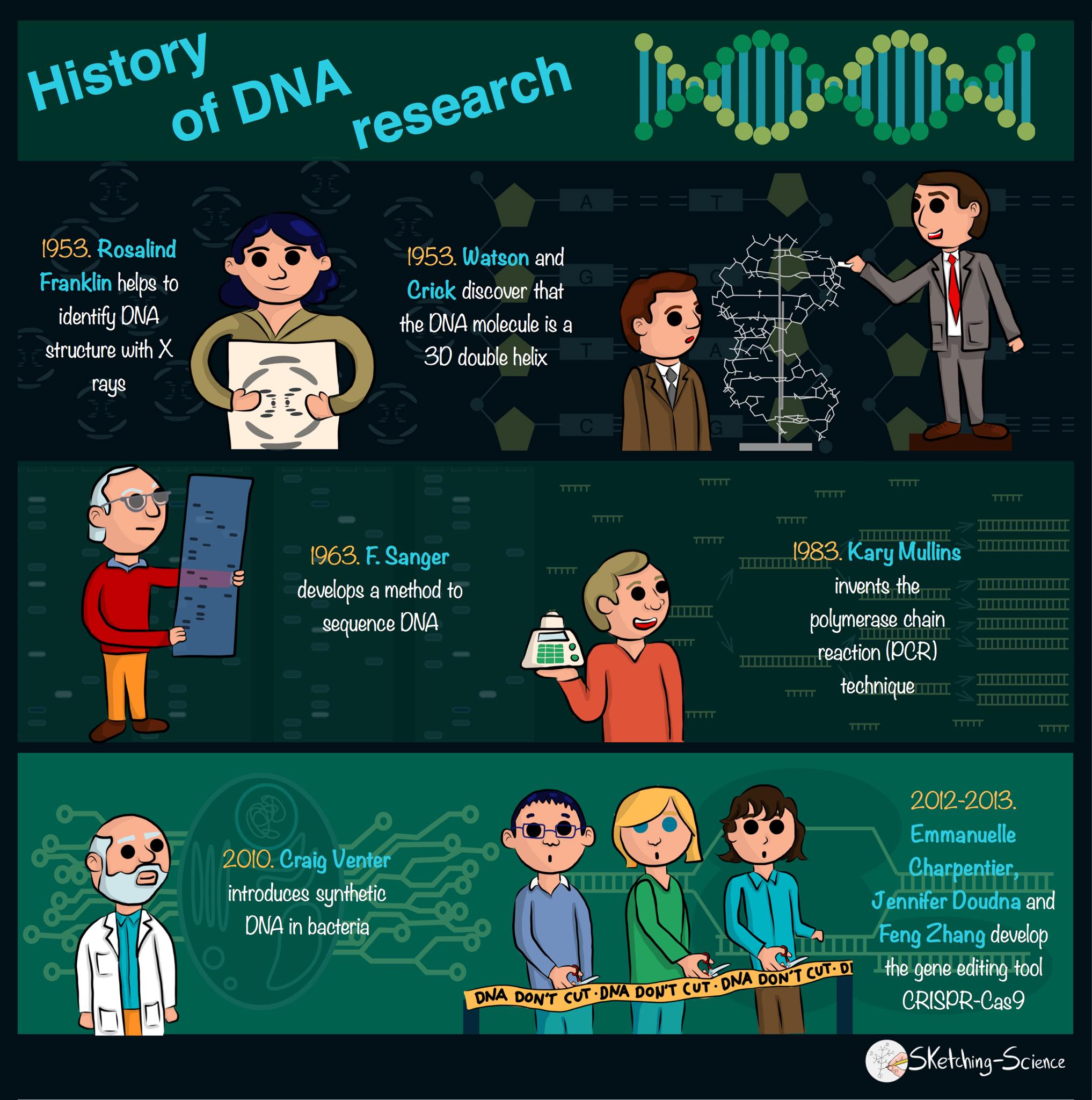 History of DNA research #dnaday #dna... - Sketching Science | Facebook