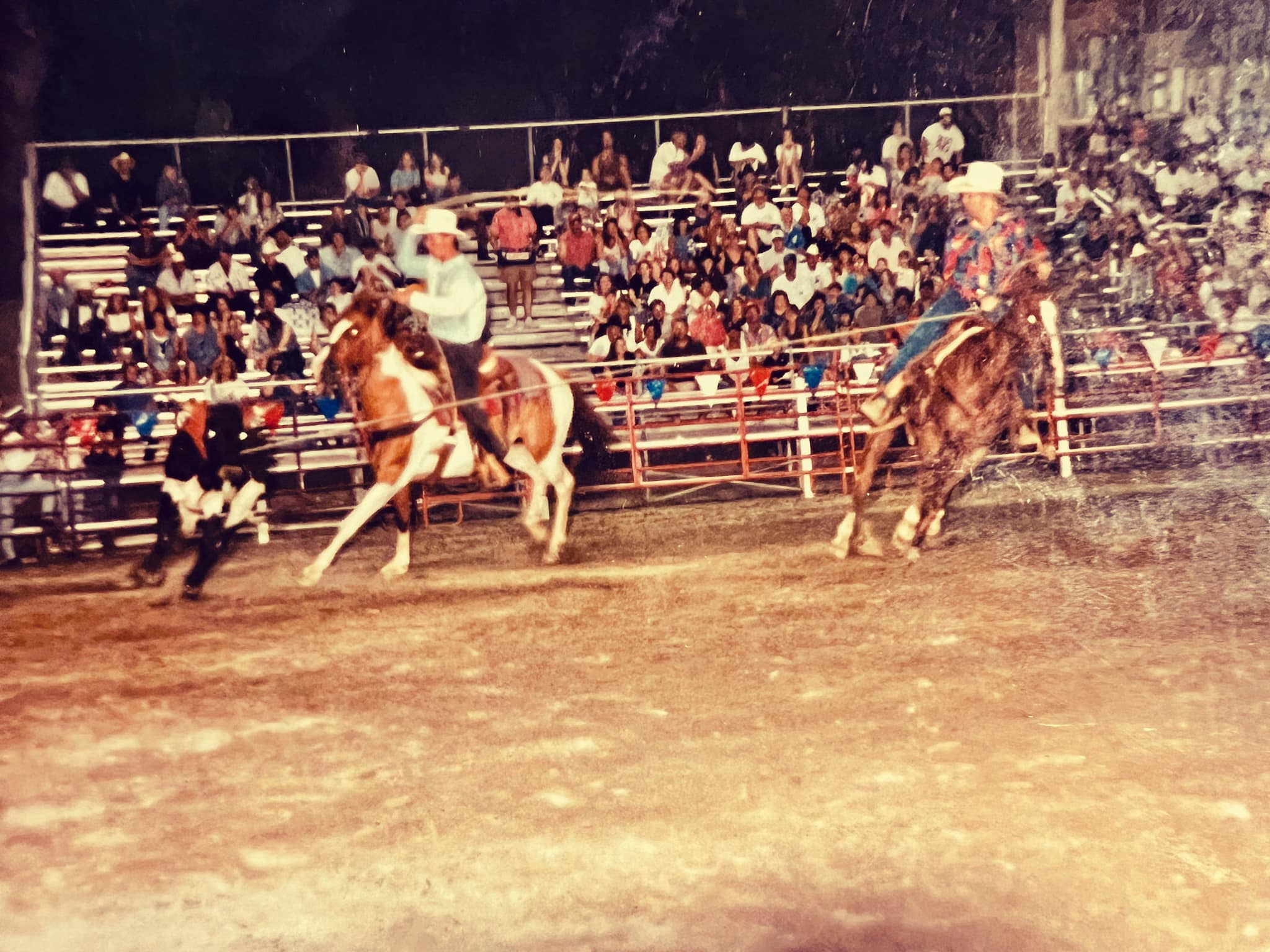 Rocking C Ranch | Blairsville GA