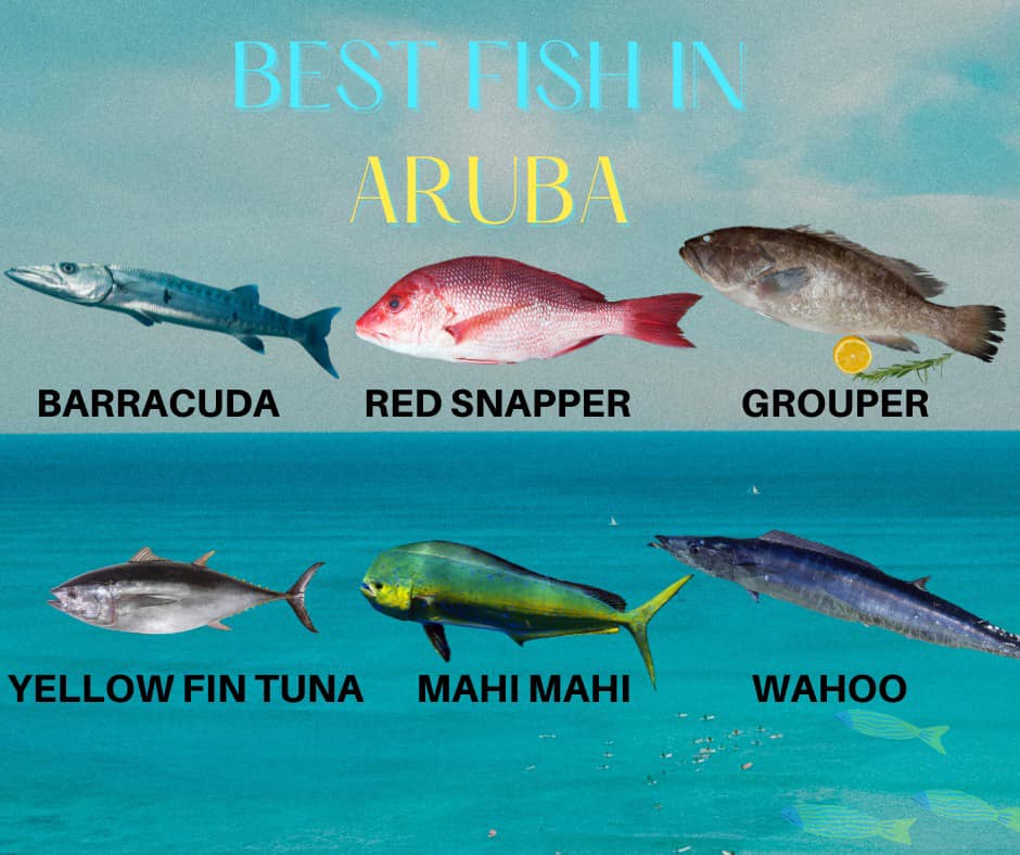 Aruba Papers - Which is your favorite fish to eat in...