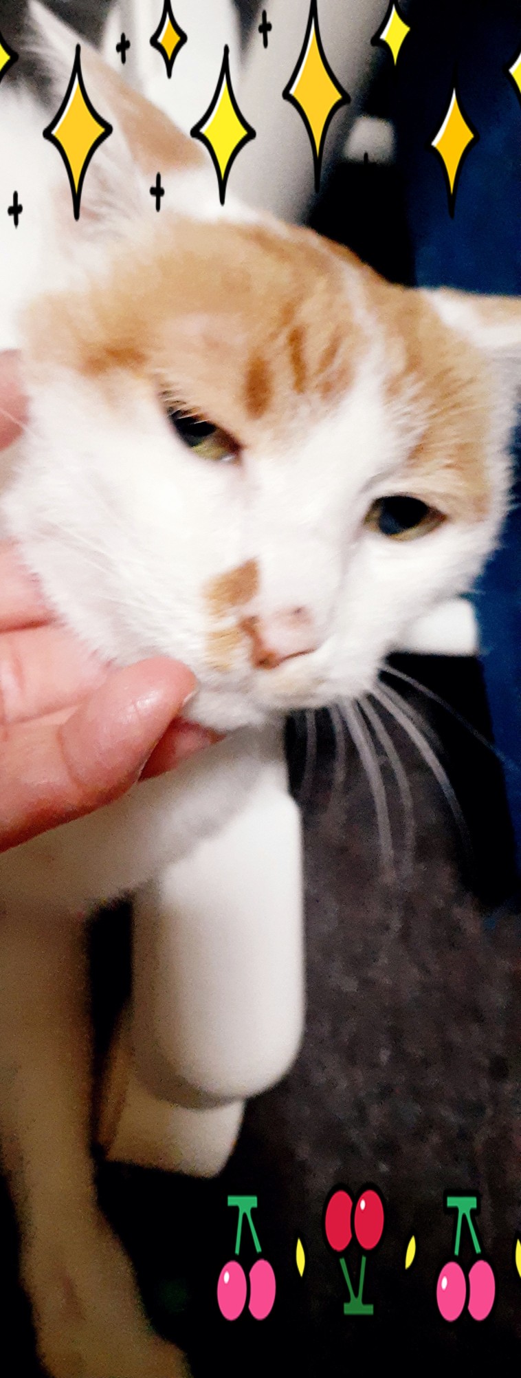 あ…ママその手なに…。