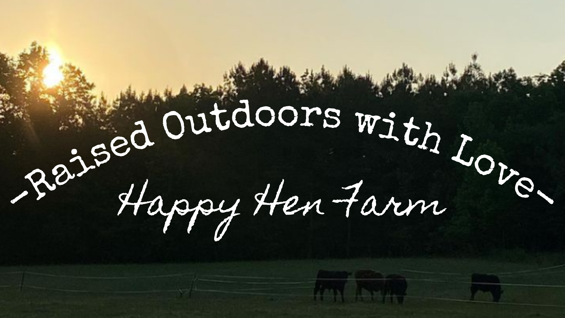 Happy Hen Farm - FREE SHIPPING CODE!! We are extending... | Facebook