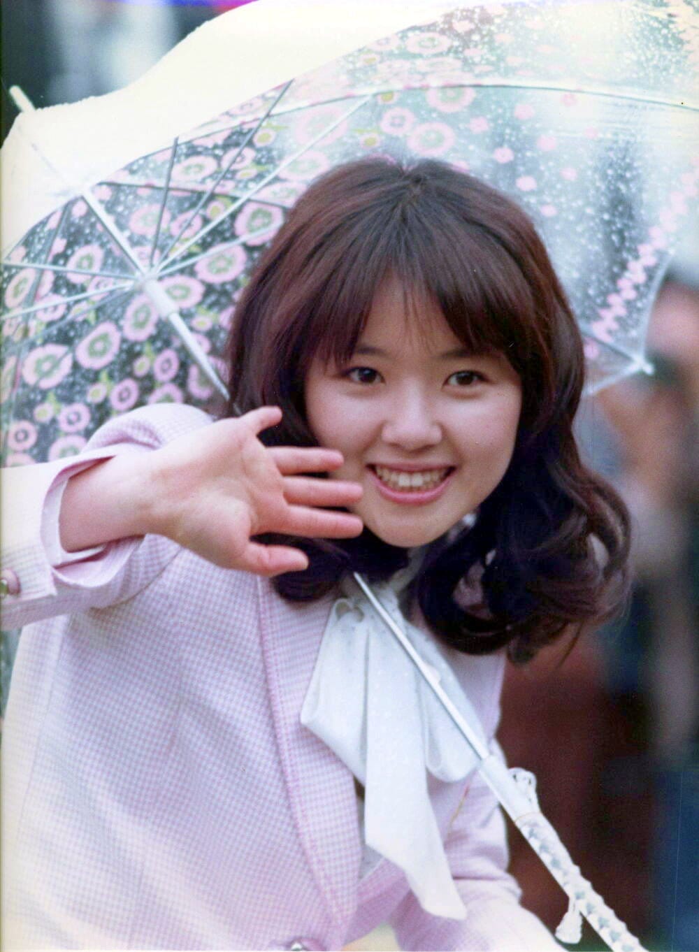 浅田 美代子 若い 頃 画像