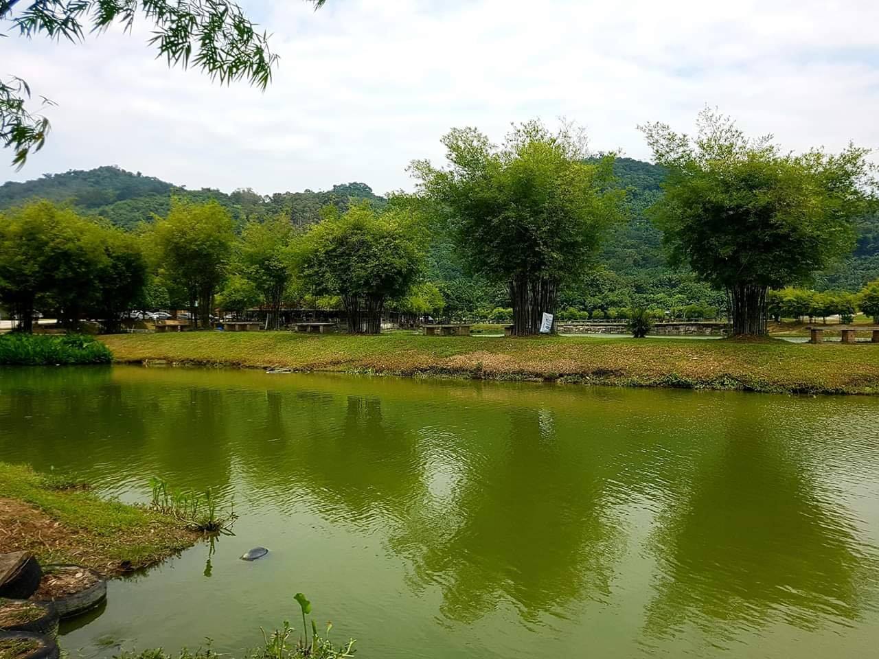 鱼乐谷绿叶fvgreenleaf Added A New Photo 鱼乐谷绿叶fvgreenleaf