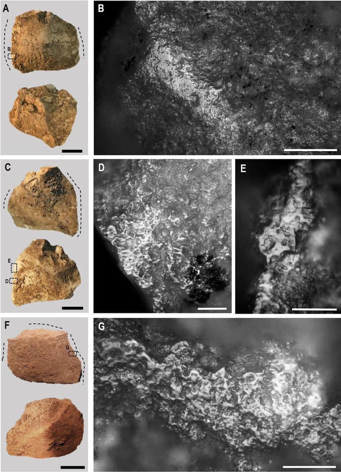 MicroTrace Archaeology