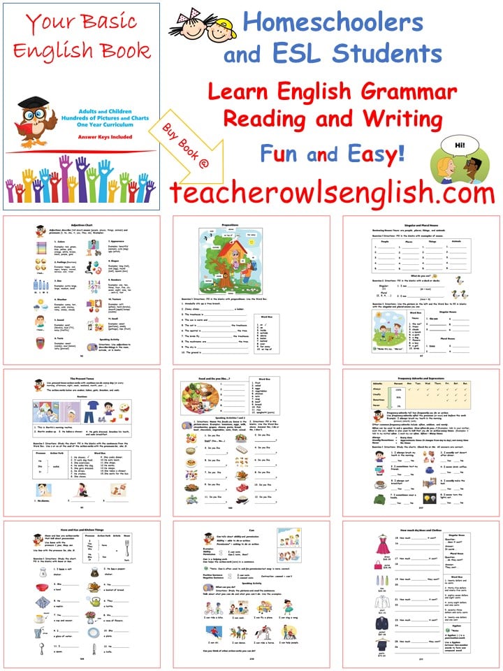 Your Basic English Book