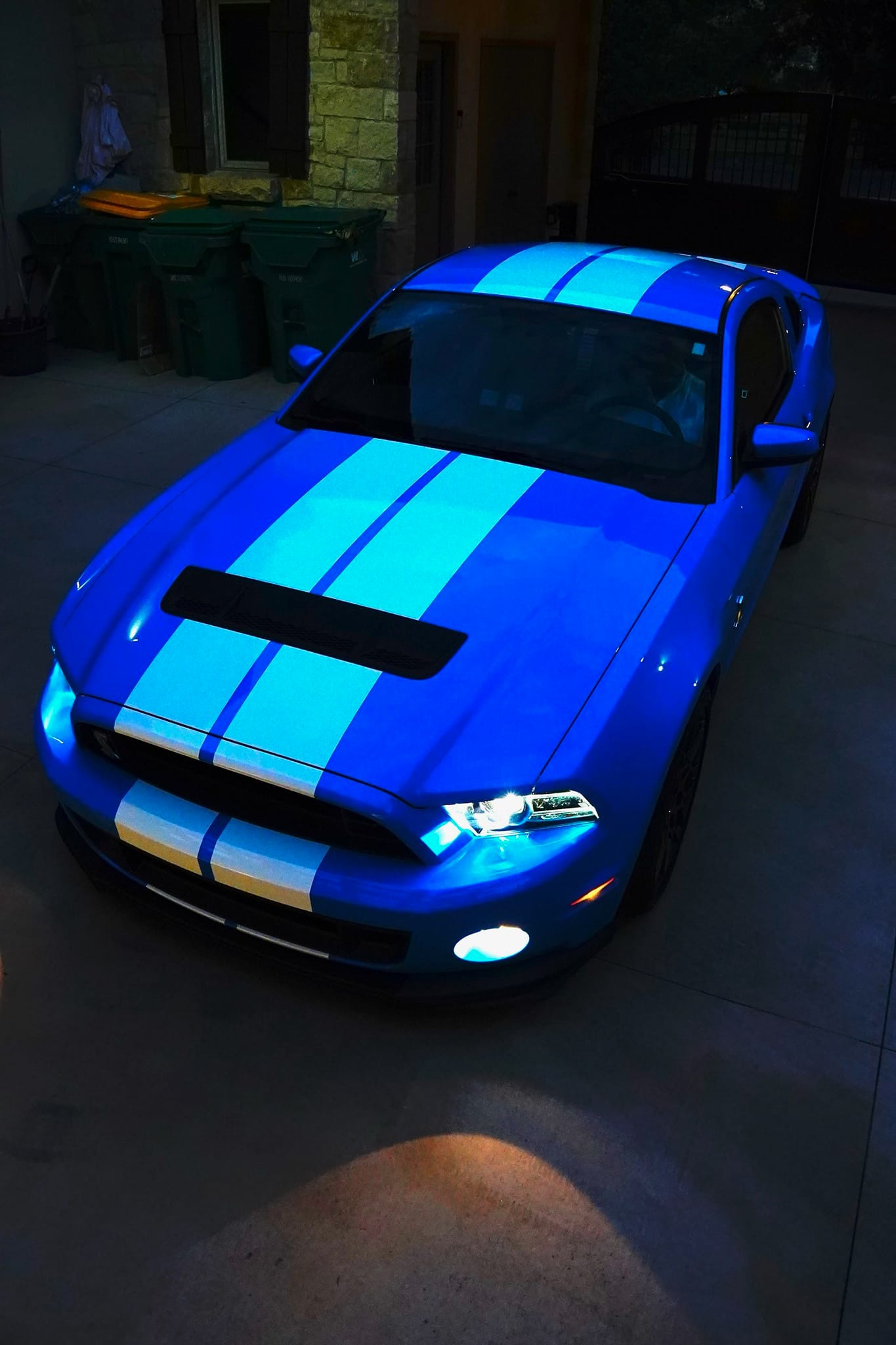 What are thoughts on Grabber Blue Shelbys versus Race Red?