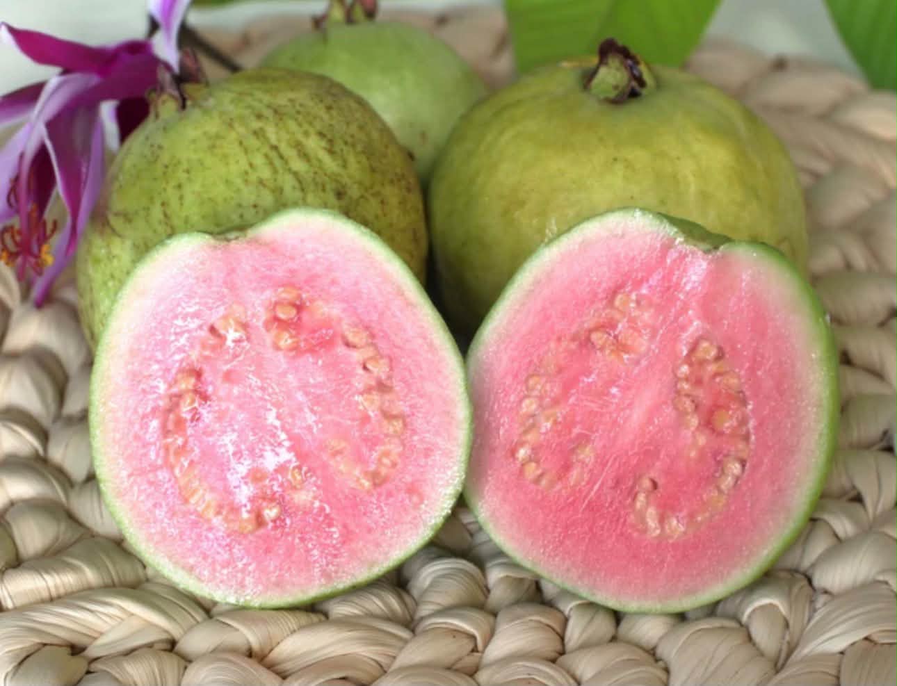 Tính ra 996y/ kg !Ổi trồng tại Okinawa Nhật
