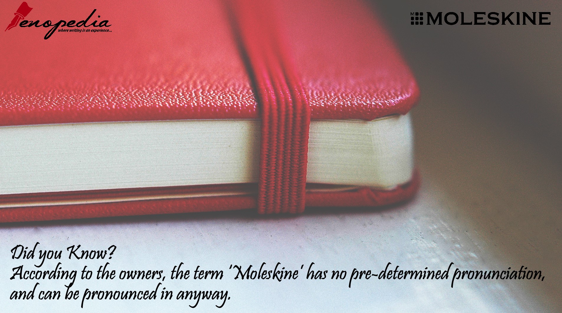Penopedia - Established in 1997, the young Moleskine brought back to ...
