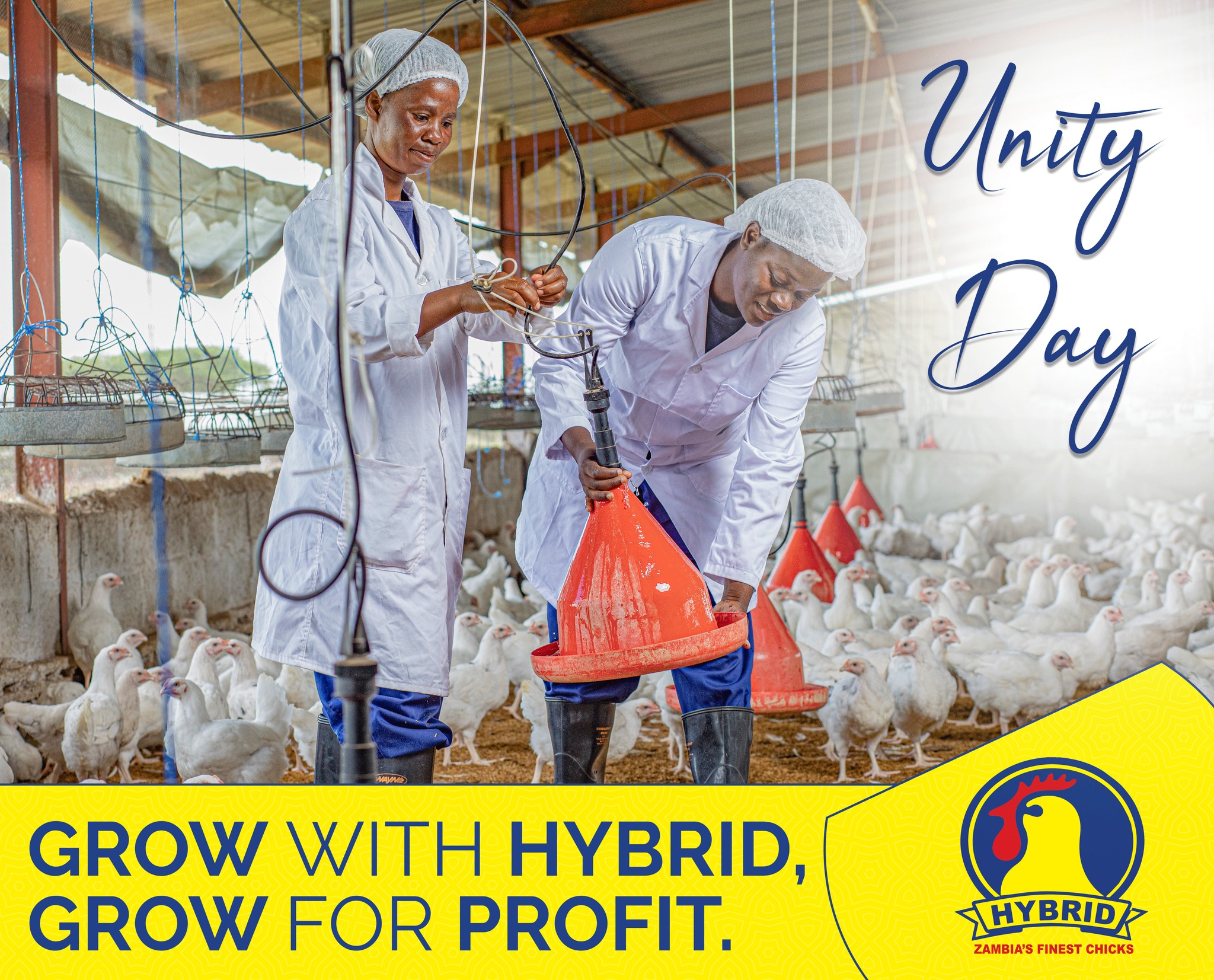 Happy Unity Day to our customers... - Hybrid Poultry Farm | Facebook