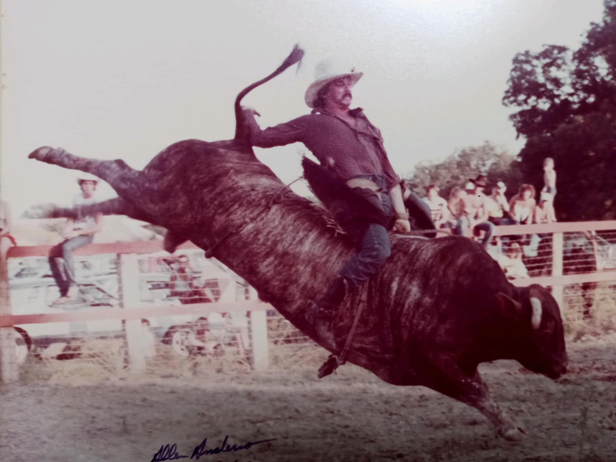 Old Bull riding and Rodeo stories | Facebook