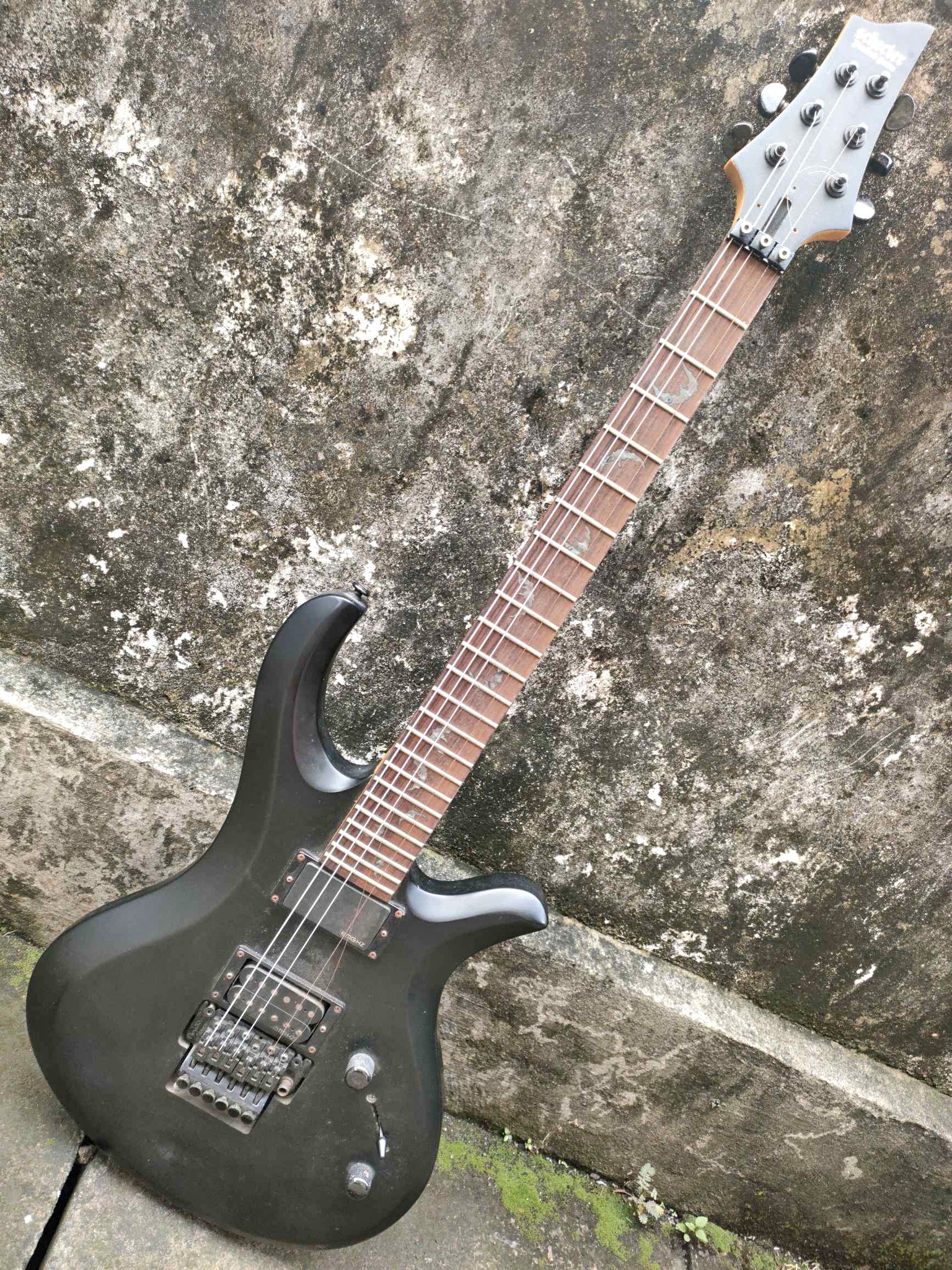 Gitar elektrik schecter damien riot fr South Korea - Electric Guitars ...