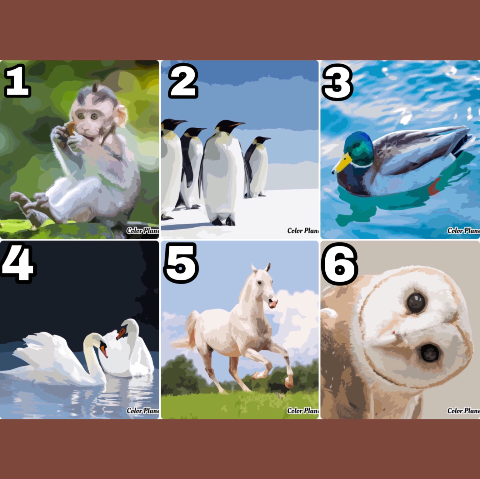 ColorPlanet - New animals pics are here 🐒🐧🦆🦢🐴🦉 L👀k at...
