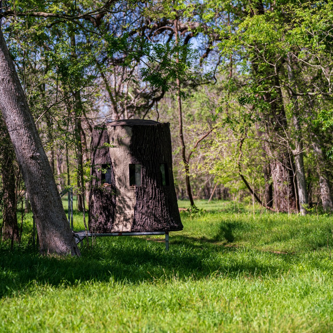 Triple P Game Ranch | Wharton TX