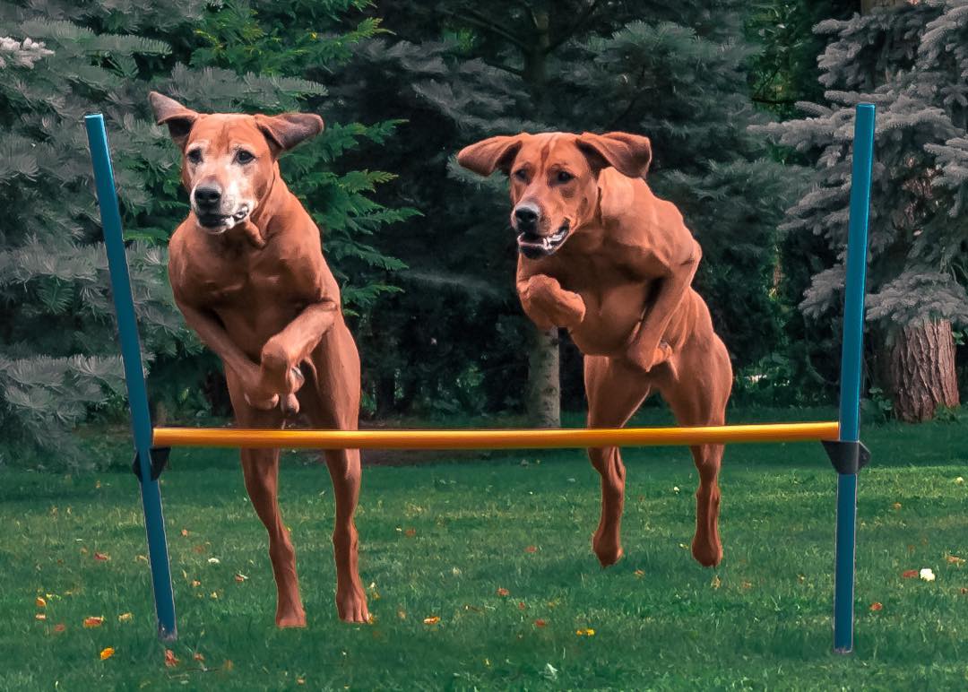 Caladesi - . . we did some exercise today 🤣 jumping Mack flash 🤣♥️🍀🤗 ...