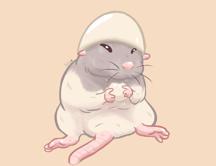 Magic Rat Models
