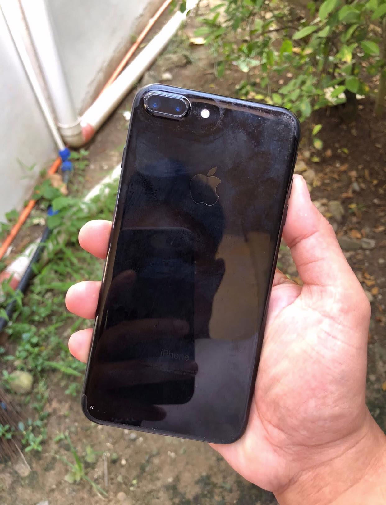 Sale or swap add❗️ iphone7+ 128gb to your?