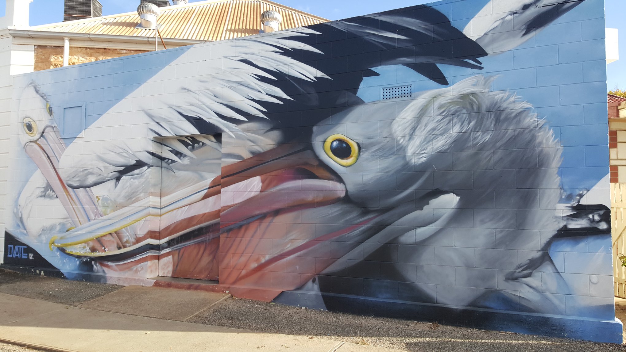 🐦 Sunrise Country — By D-V-Ate in Lockington, Australia 🇦🇺 #3