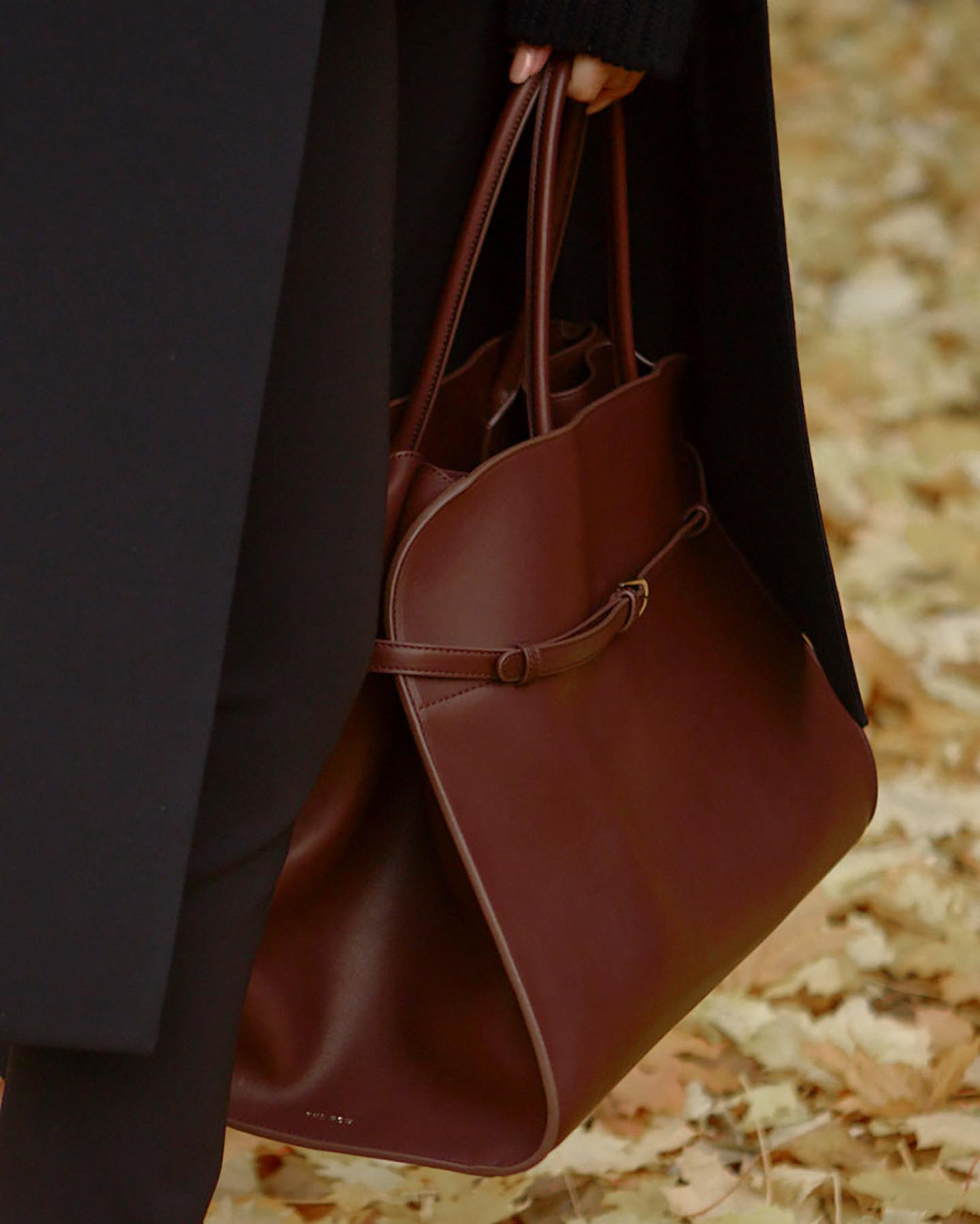 THE ROW Margaux belt 15saddle bag