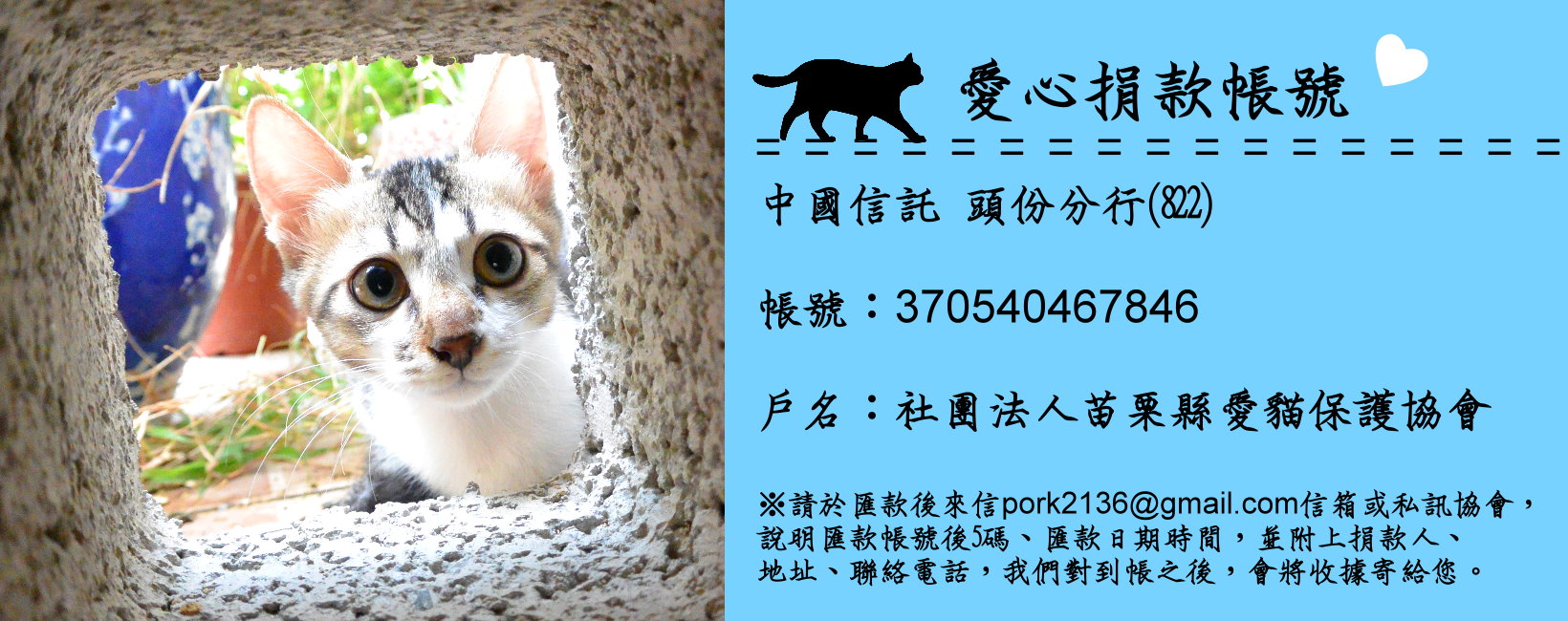 苗栗縣愛貓保護協會 首頁 Facebook