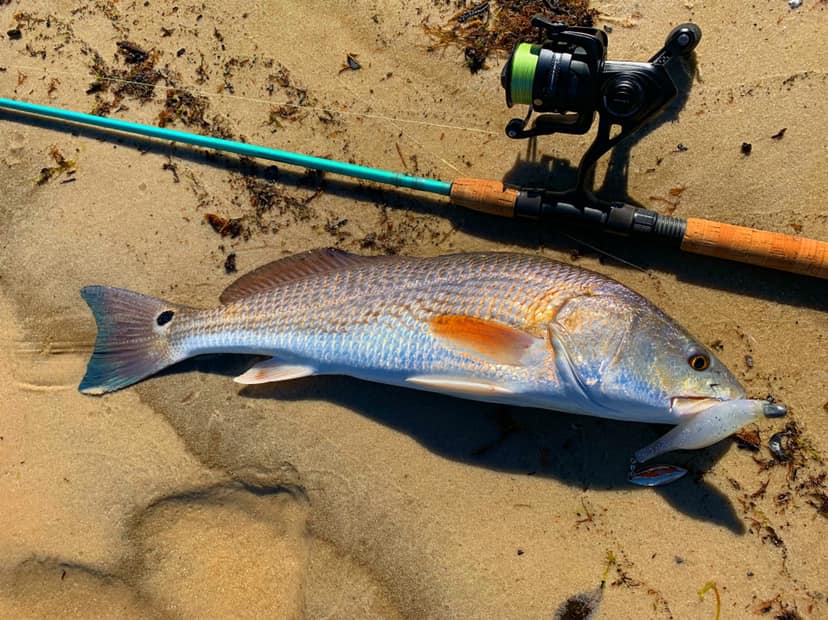 beach fishing pole for sale Carbon Surf Combo Best Freefall Ice Fishing the Beachwalker delivers the Color:Burgundy fishing tackle jewelry