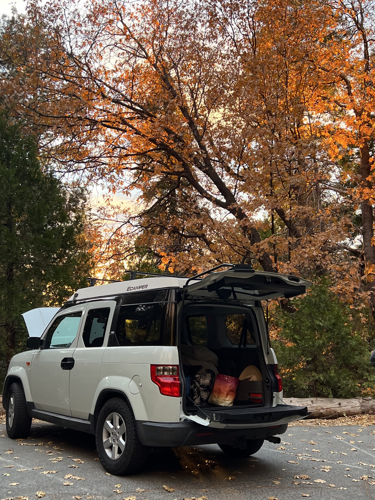 2010 Honda Element Rare Omni Blue eCamper - RVs & Campers - Oakland ...
