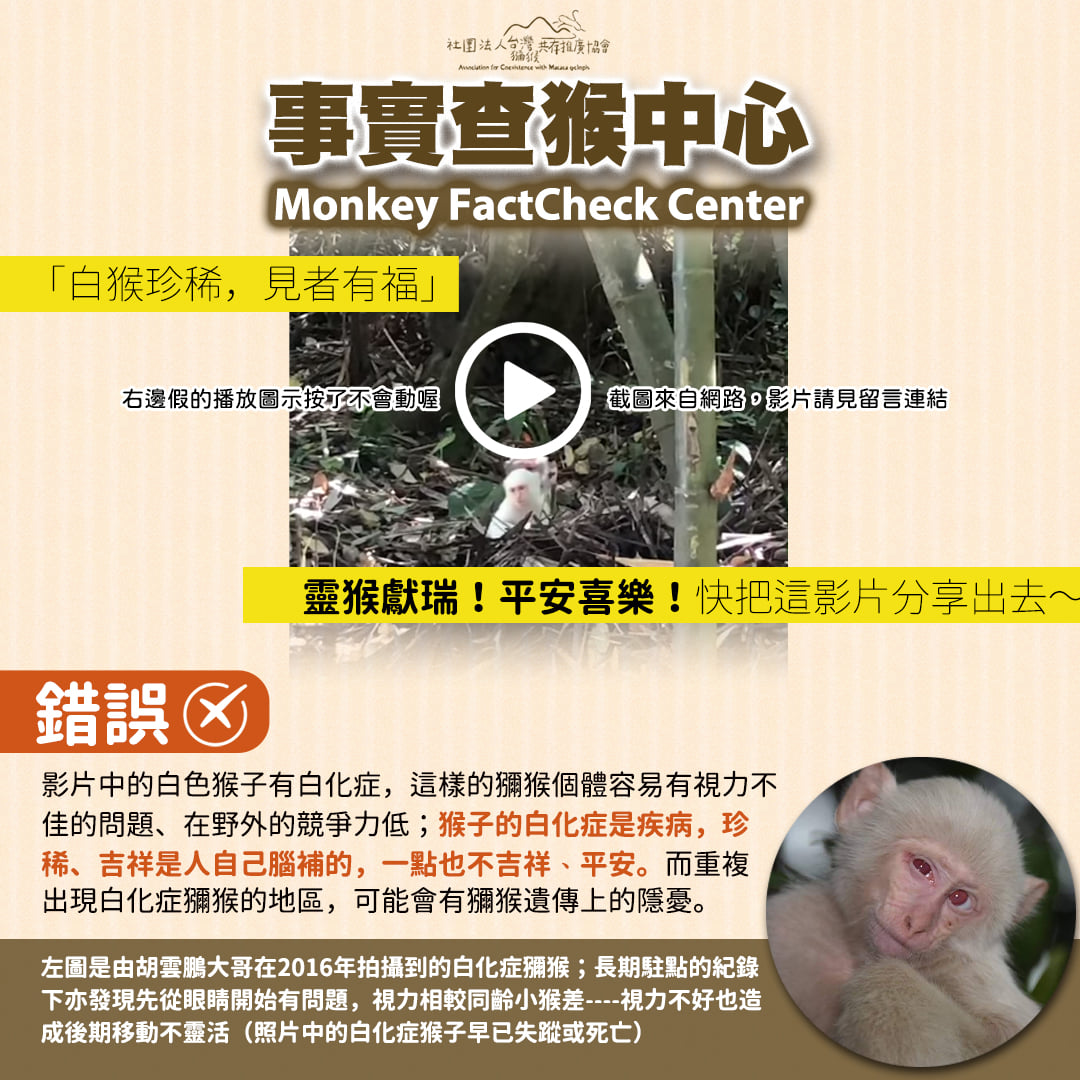 台灣獼猴共存推廣協會 - #長知識時間 #白化獼猴 #事實查猴中心 本週發現在LINE上開始轉傳白化獼猴的影片，並附上一段文字：「南投竹山發現 ...