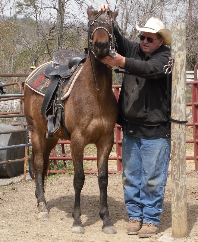 The G Bar M Ranch