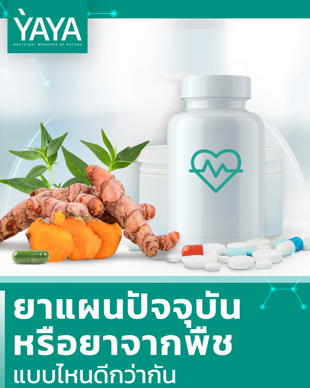 YAYA หญ้ายา - ยาเป็นปัจจัยสำคัญในการดำรงชีวิต...