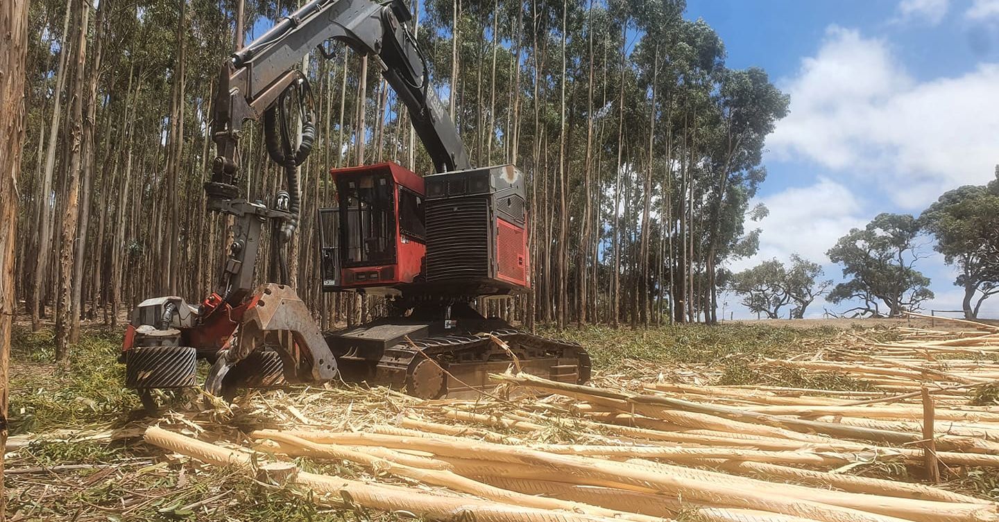 Adelaide Hills Logging