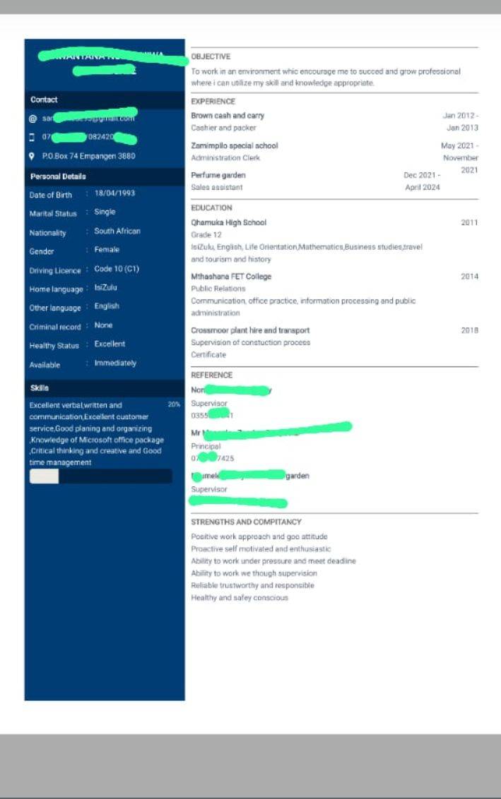 New CV Format | Facebook