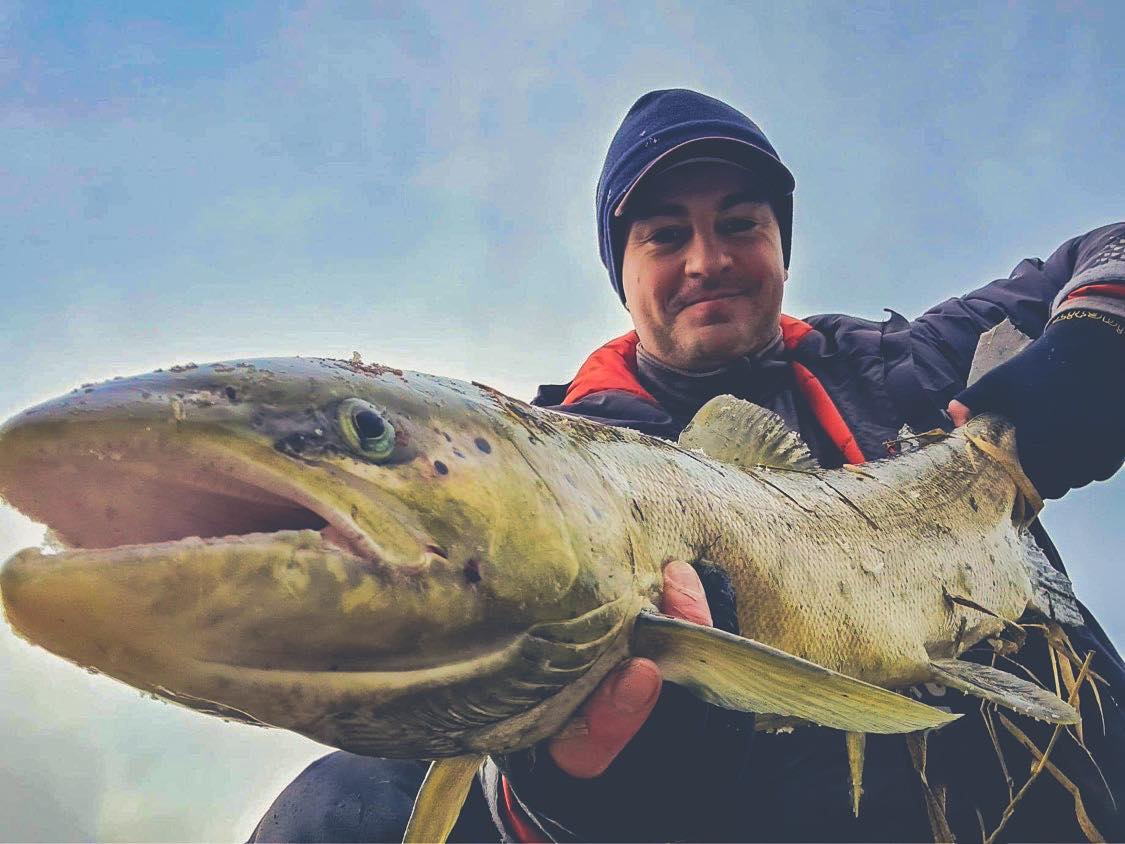 The NEW Lunamis S 86 M #Shimano #Lunamis #FishShimano