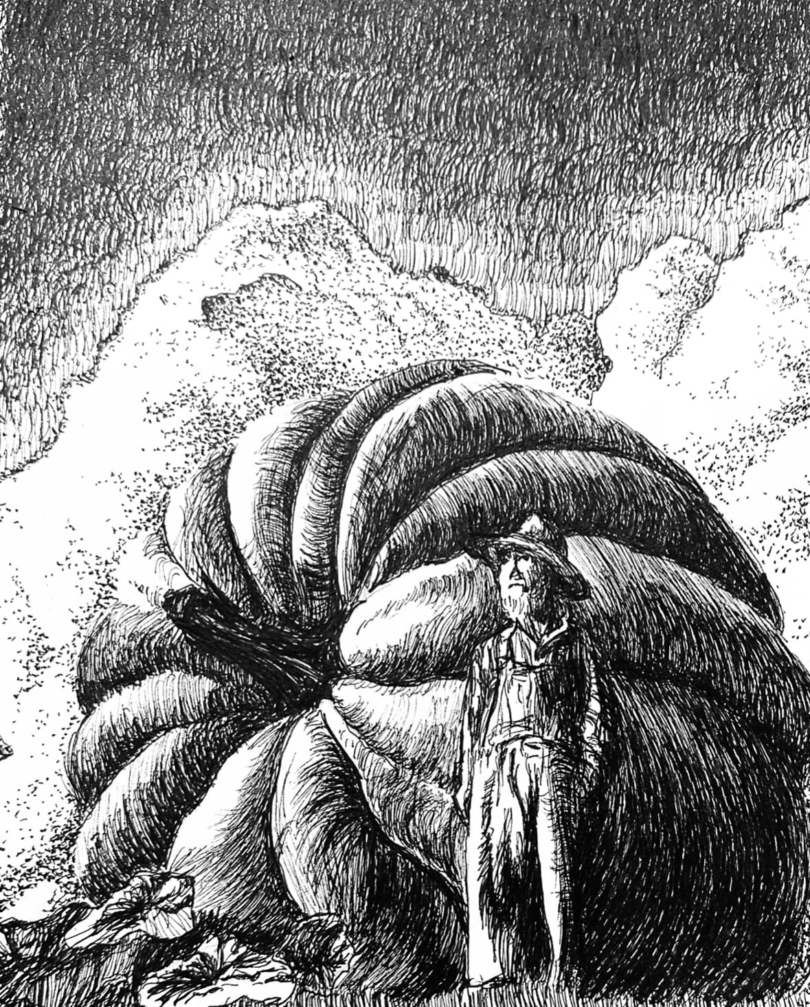 Ol' Clyde and His Big Ass Pumpkin. Pen on paper.