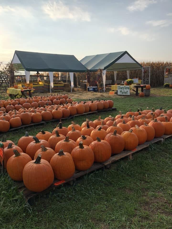 Sharp Farms - We hope to see you at the farm today!... | Facebook