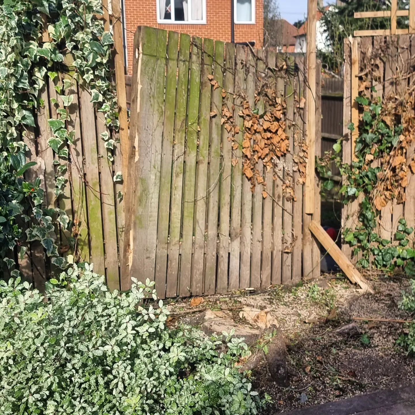 Rigby Tree Care