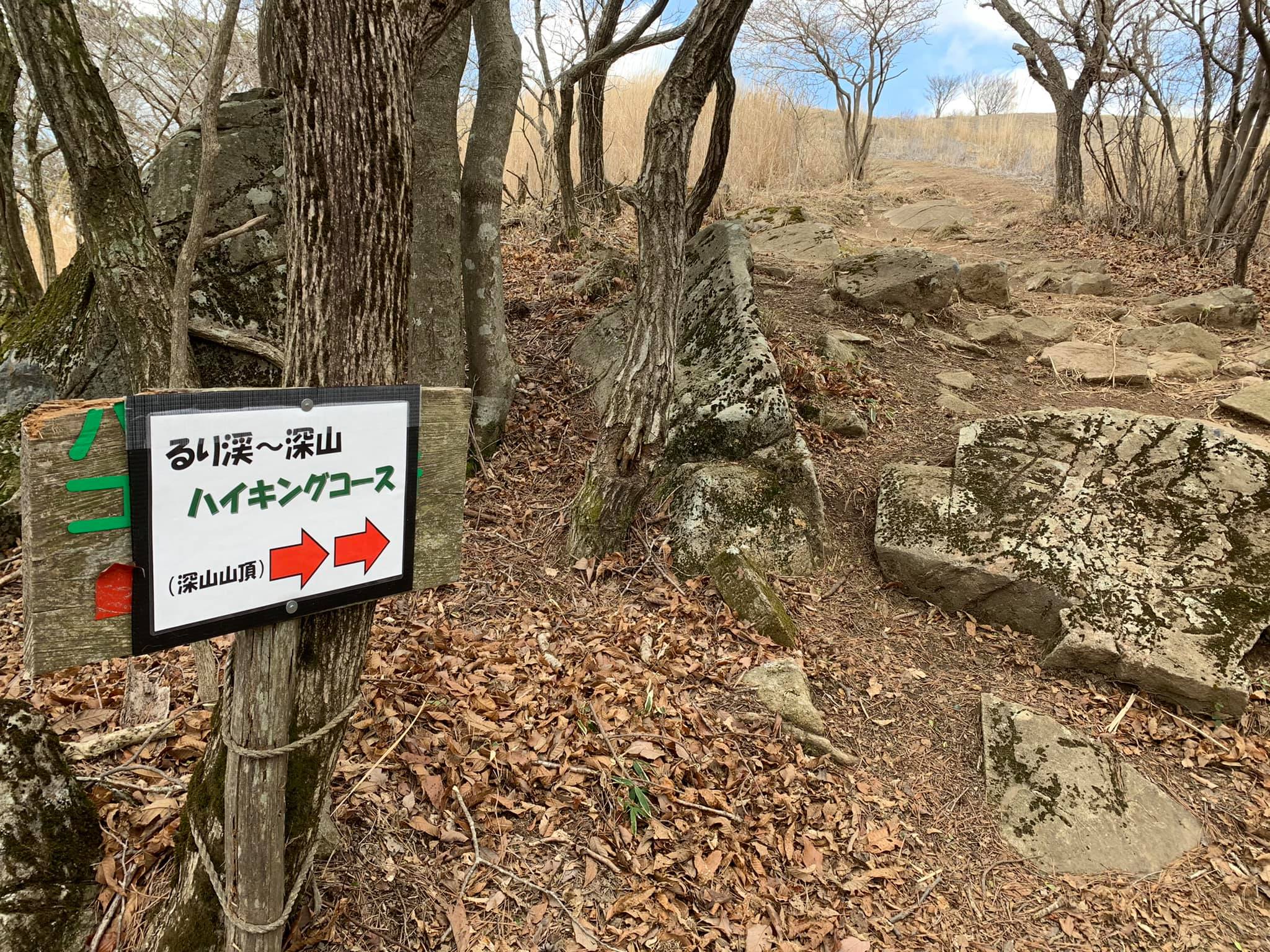 園部文化観光協会 るり渓 深山ハイキングコース るり渓高原の爽やかな春の好季節をお楽しみ下さい Facebook