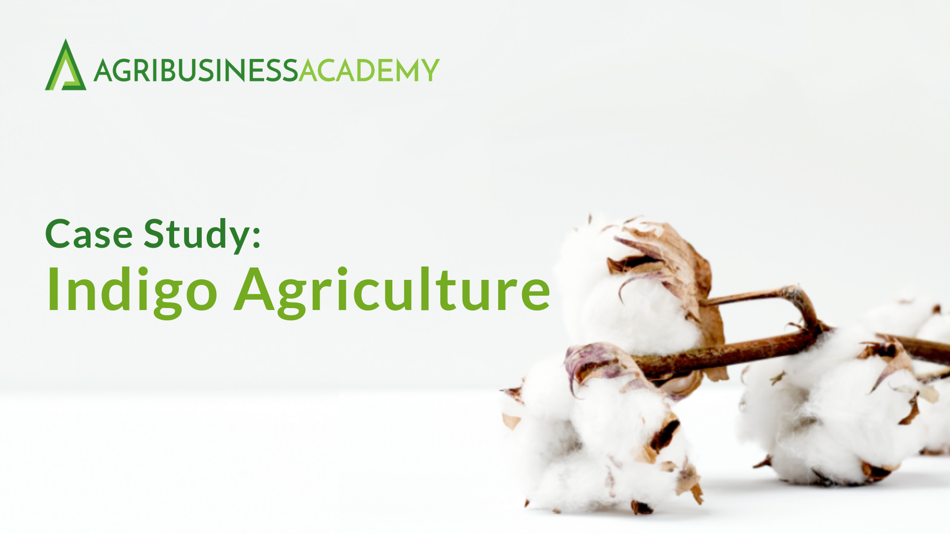 Our latest podcast is a case study... - Agribusiness Academy | Facebook