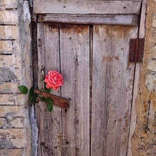 شعورّ1997