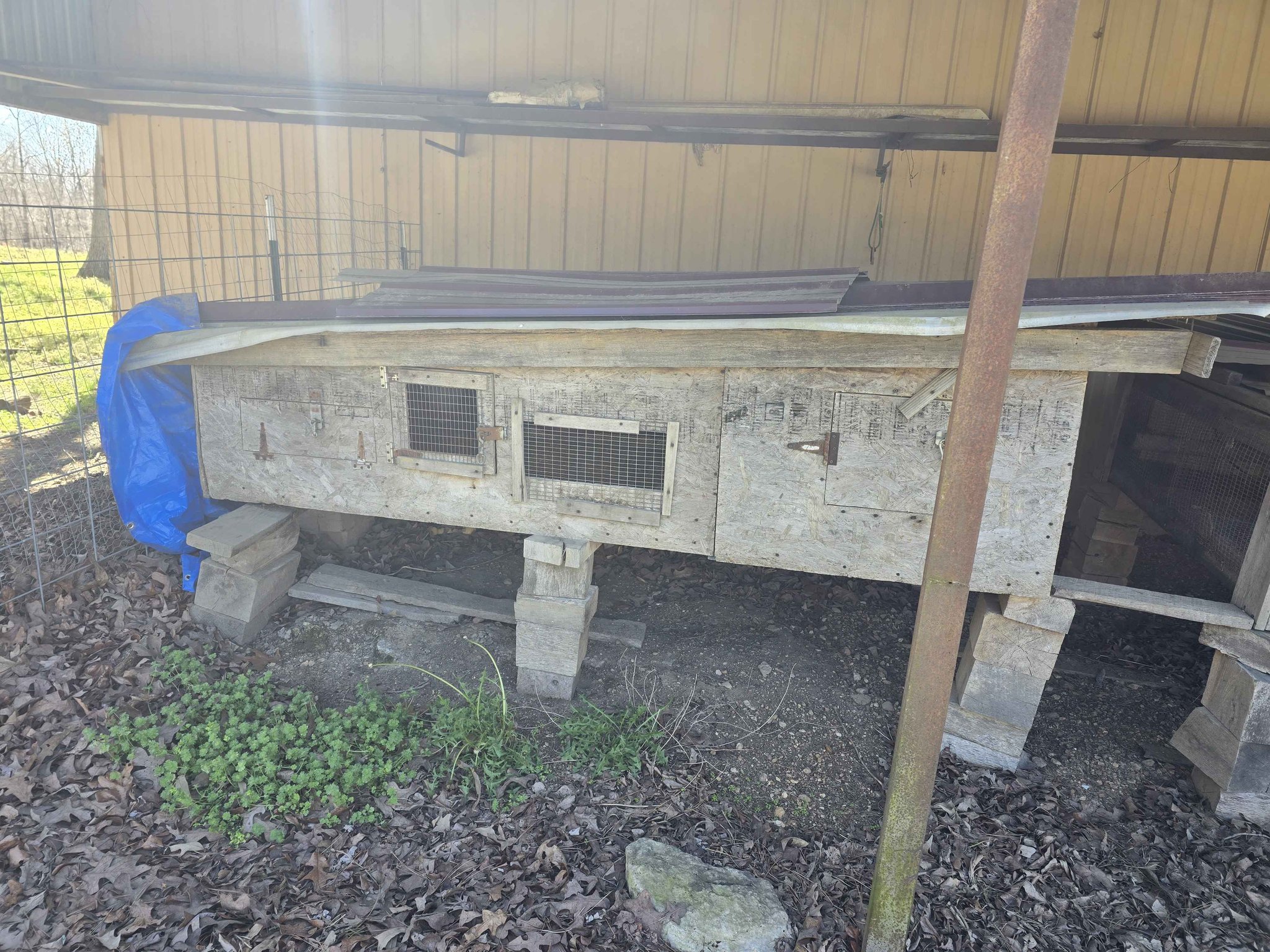 Brooder boxes/rabbit hutches - Miscellaneous - Doniphan, Missouri ...
