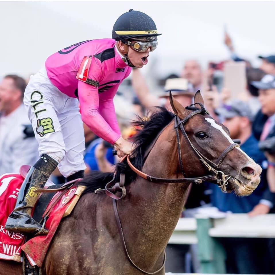 Congratulations to War of Will (WOW)... - GG Racing Stables | Facebook