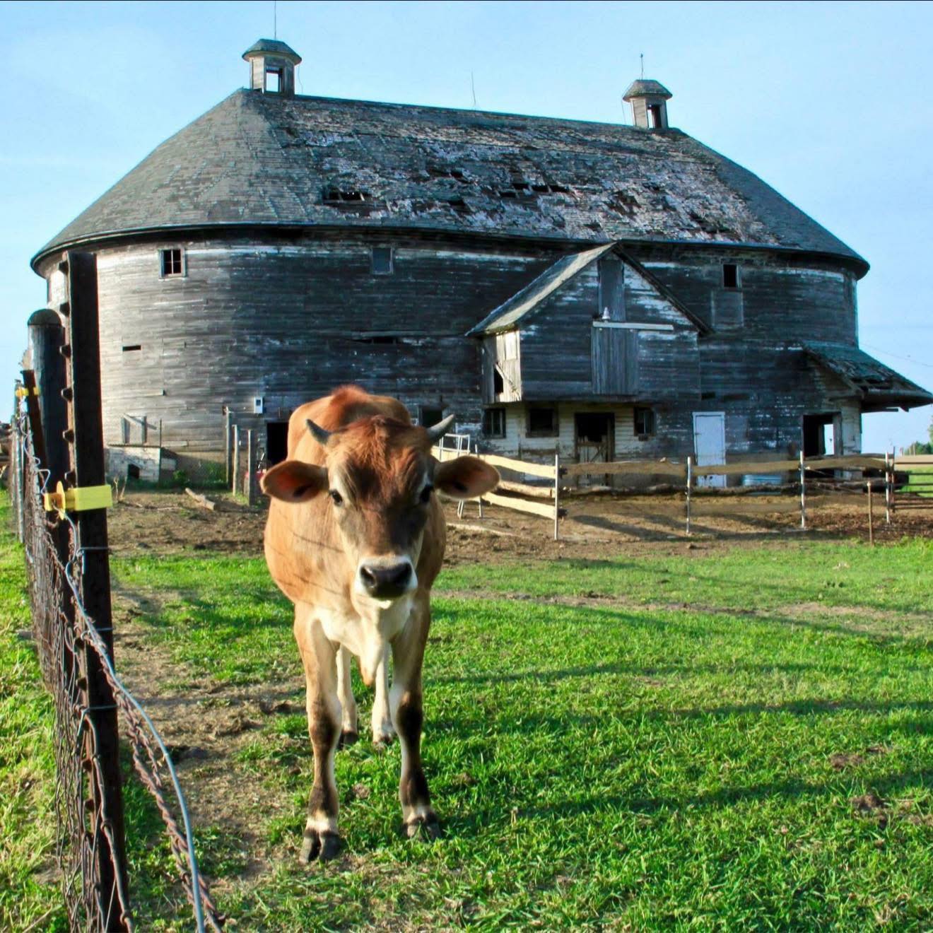 Tyler Christman - This barn is known as the Bagley Round... | Facebook