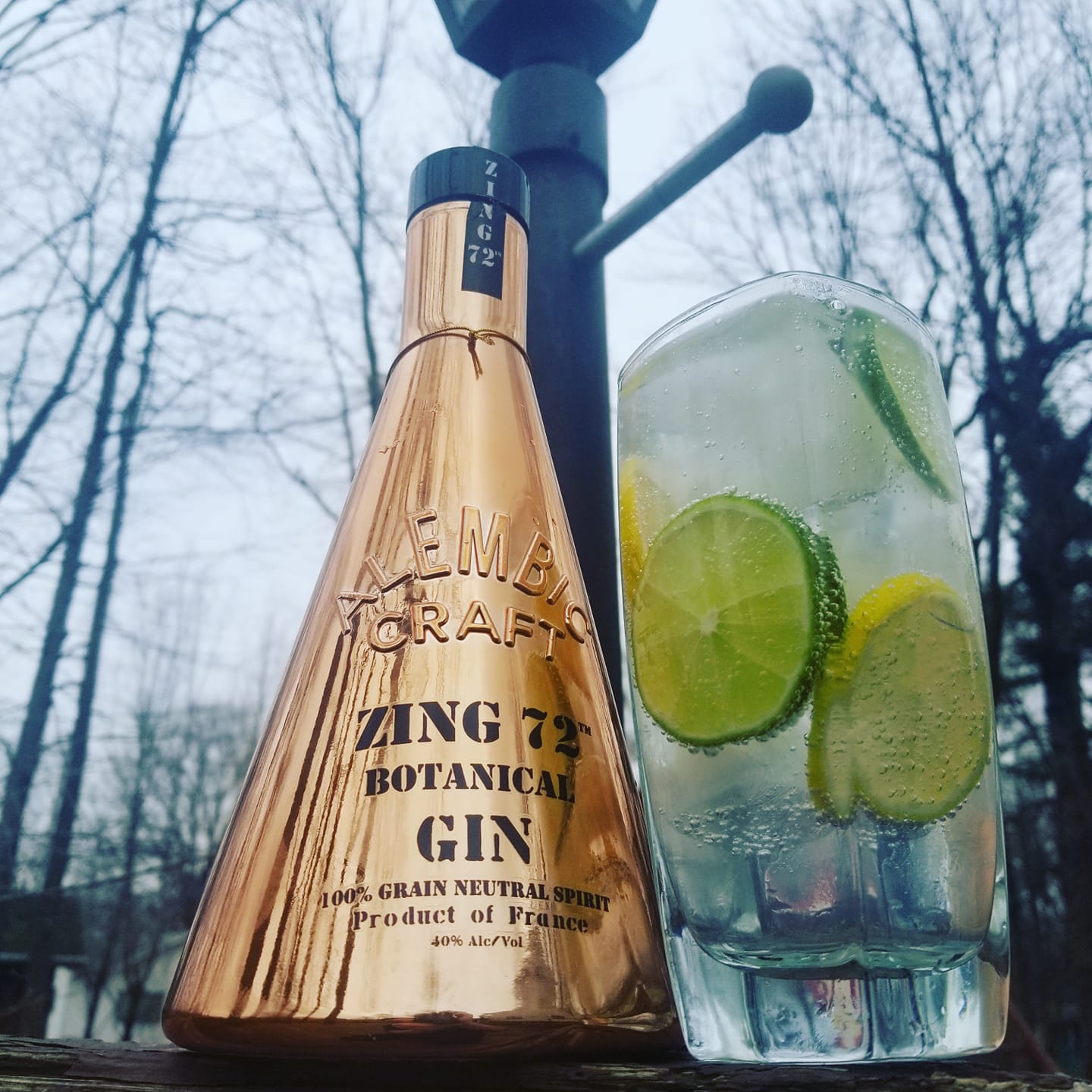 Zing 72 Botanical dry gin from France