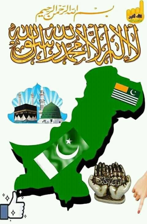 آل پاکستان محب وطن اتحاد