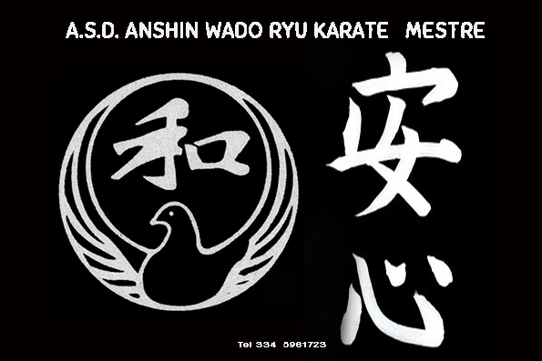 Anshin Wado-Ryu Karate Mestre | Mestre