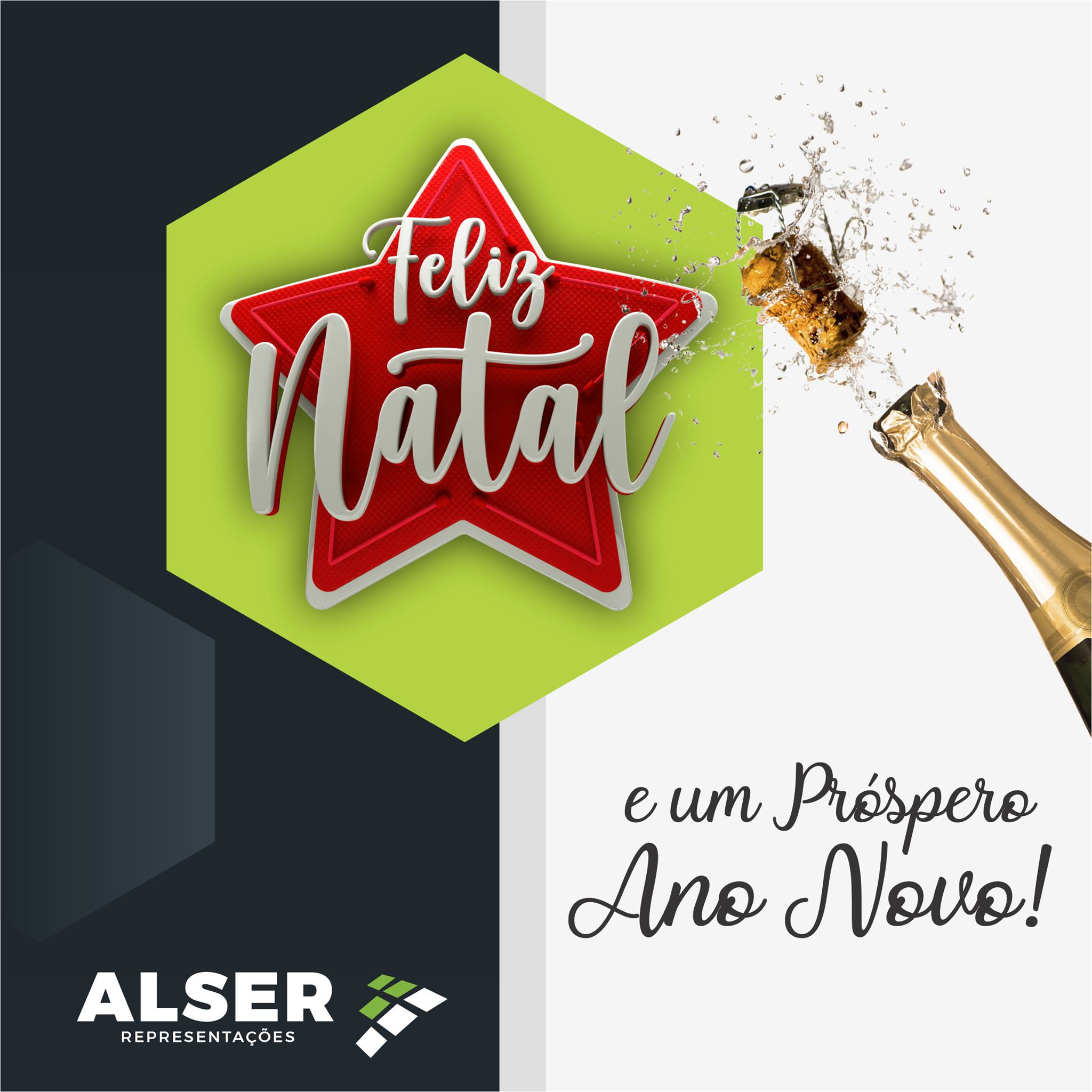 Alser Representações | Veranópolis RS